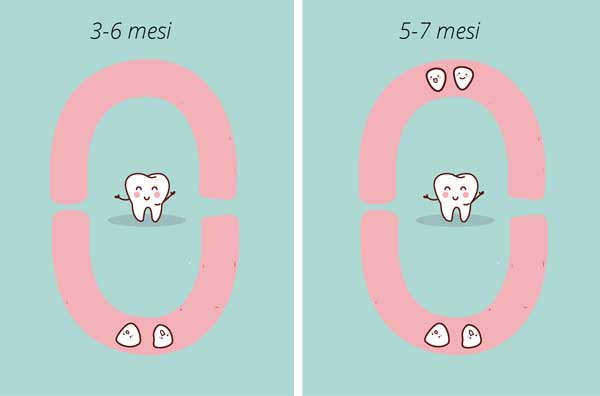 dentini chamodent 1
