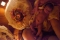 Lotus birth per la figlia di un osteopata…