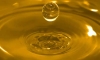 Olio