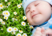 La camomilla per i neonati fa bene o fa male?