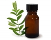 Olio di Malaleuca alternifolia - tea tree oil