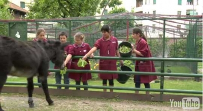 Scelta della scuola: "eccellenza" pubblica Rinnovata Pizzigoni di Milano (con video)
