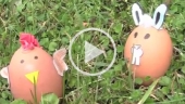 Pasqua coniglio gallina