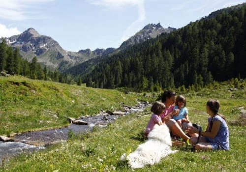 Dolomiti: la Val di Fiemme con i bambini