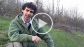 Davide Dondadi - Scuola libertaria
