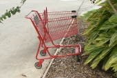 Carrello della spesa