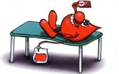 Un dono prezioso che non costa nulla: il sangue