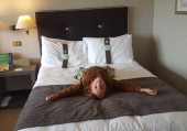 Holiday Inn