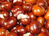 La frutta e la verdura di novembre
