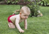 Bambino che gattona