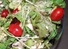 L’orto in cucina! Coltivare (e mangiare) germogli con i nostri bambini