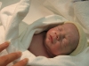 Bambino neonato