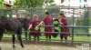 Scelta della scuola: &quot;eccellenza&quot; pubblica Rinnovata Pizzigoni di Milano (con video)