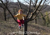 Bambini che si arrampicano sugli alberi