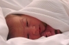 Neonato