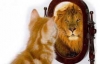 Immagine riflessa...